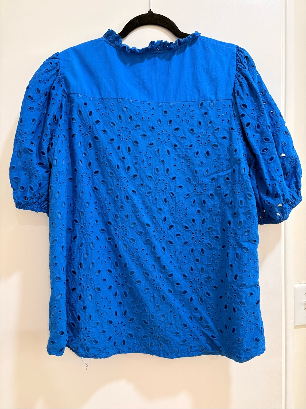 Bluet Eyelet Puff Sleeve Top - Picture 5 of 5